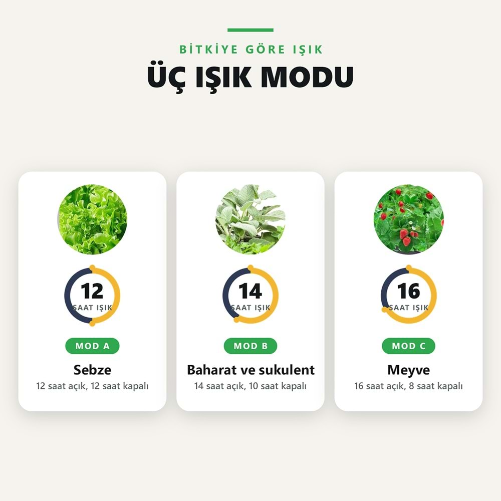 Greentech Hidroponik Topraksız Yetiştirme Seti, 12 Yuvalı, 20 W LED Işıklı, Otomatik Pompalı / GT-PG11S