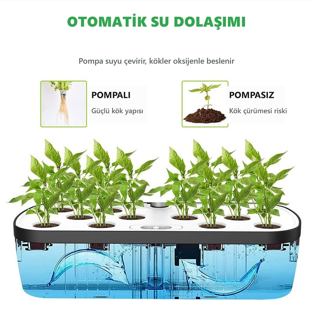 Greentech Hidroponik Topraksız Yetiştirme Seti, 12 Yuvalı, 20 W LED Işıklı, Otomatik Pompalı / GT-PG11S