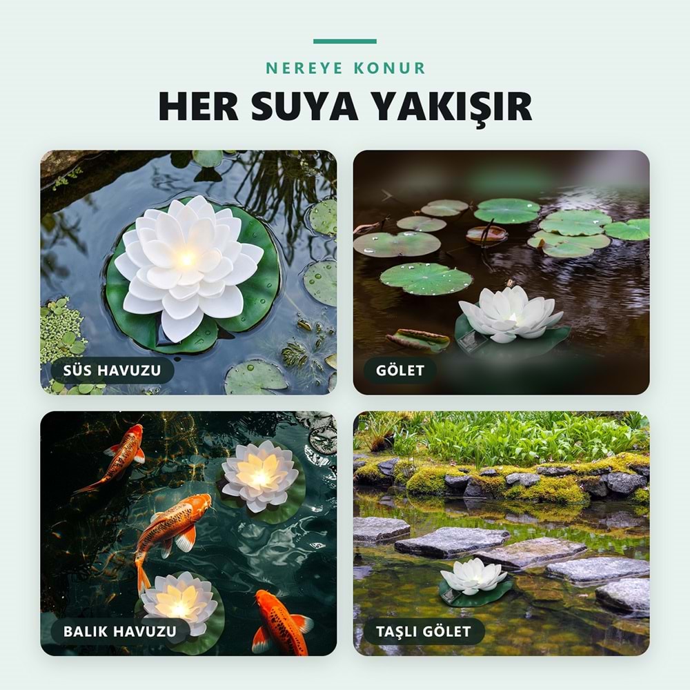 Greentech Güneş Enerjili Yüzen Nilüfer Havuz Lambası, Sıcak Beyaz LED, Süs Havuzu ve Gölet, Beyaz / GT-SL45B
