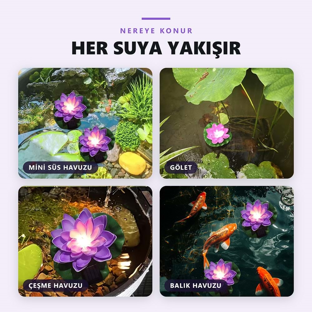 Greentech Güneş Enerjili Yüzen Nilüfer Havuz Lambası, Sıcak Beyaz LED, Süs Havuzu ve Gölet, Mor / GT-SL45M