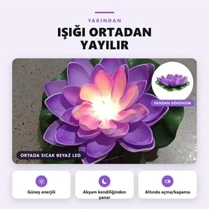 Greentech Güneş Enerjili Yüzen Nilüfer Havuz Lambası, Sıcak Beyaz LED, Süs Havuzu ve Gölet, Mor / GT-SL45M