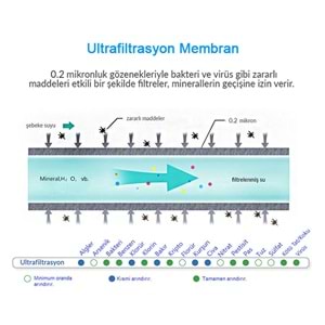 Greentech Water UF Membran Filtreli Musluk Ucu Arıtıcı / 3 Adet UF Membran Filtreli Kartuş / GW-D01P2