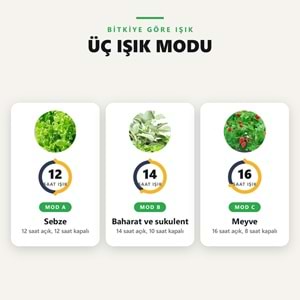 Greentech Hidroponik Topraksız Yetiştirme Seti, 12 Yuvalı, 20 W LED Işıklı, Otomatik Pompalı / GT-PG11S