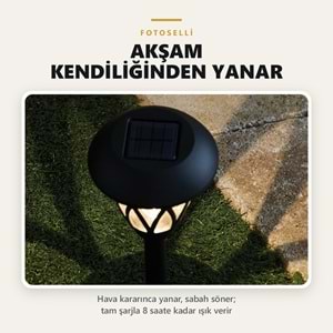 Greentech Güneş Enerjili Kazıklı Bahçe Yolu Lambası, 6 Adet, Cam Kapaklı, Sıcak Beyaz LED, Siyah / GT-SL49