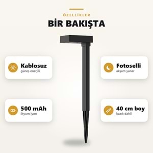 Greentech Güneş Enerjili Kazıklı Bahçe Yolu Lambası, Aşağı Işıklı, Siyah, 4 Adet / GT-SL50